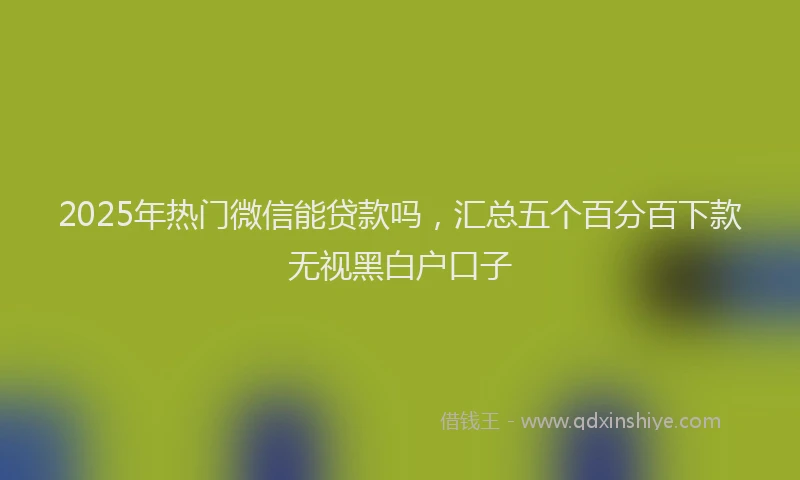 2025年热门微信能贷款吗，汇总五个百分百下款无视黑白户口子
