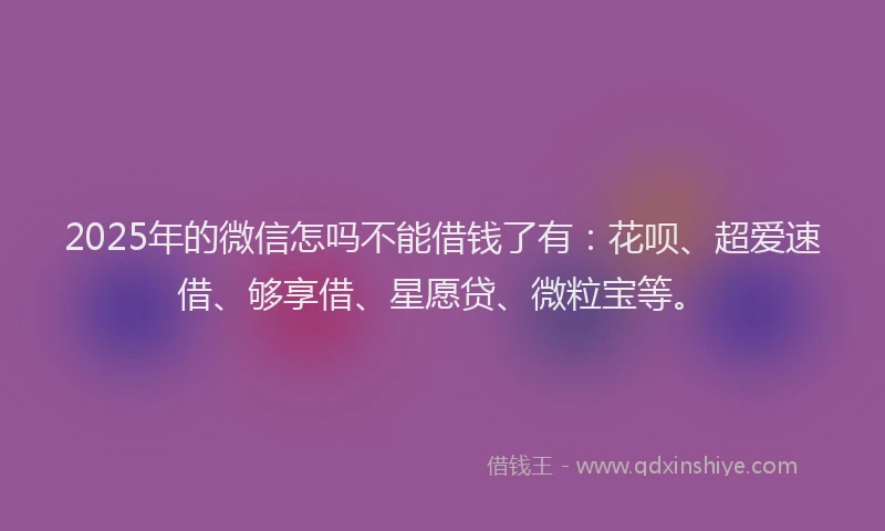 2025年的微信怎吗不能借钱了有：花呗、超爱速借、够享借、星愿贷、微粒宝等。