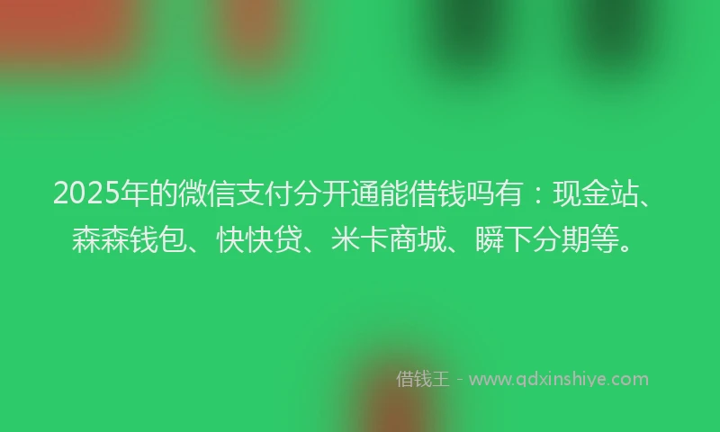 2025年的微信支付分开通能借钱吗有：现金站、森森钱包、快快贷、米卡商城、瞬下分期等。