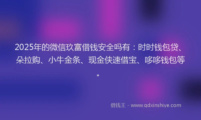 2025年的微信玖富借钱安全吗有：时时钱包贷、朵拉购、小牛金条、现金侠速借宝、哆哆钱包等。