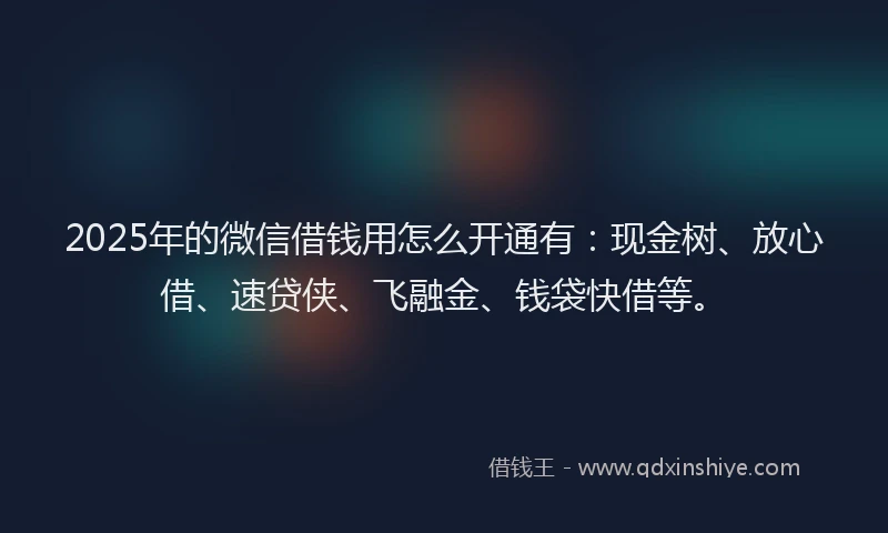 2025年的微信借钱用怎么开通有：现金树、放心借、速贷侠、飞融金、钱袋快借等。