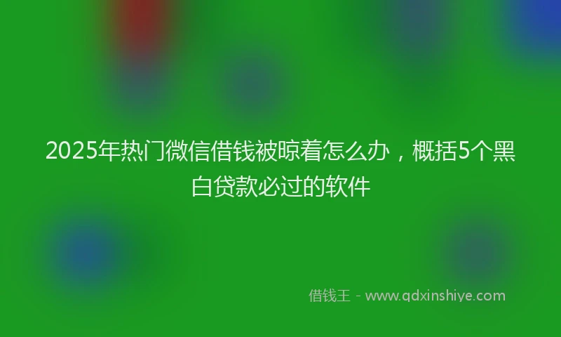 2025年热门微信借钱被晾着怎么办，概括5个黑白贷款必过的软件