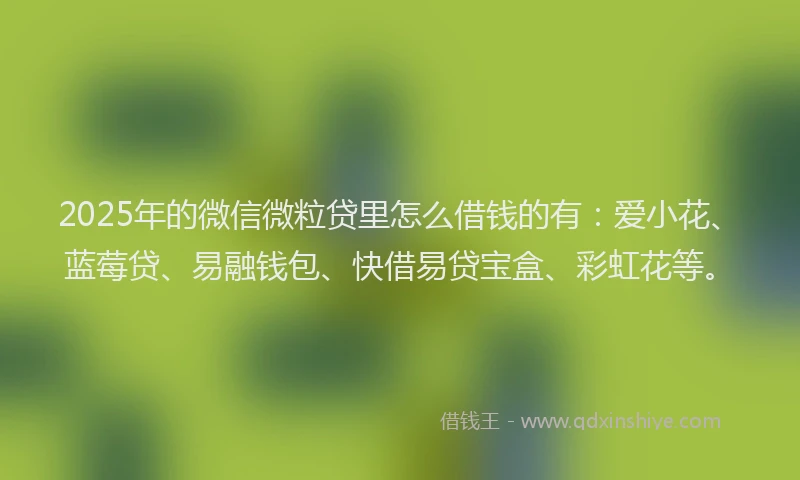 2025年的微信微粒贷里怎么借钱的有：爱小花、蓝莓贷、易融钱包、快借易贷宝盒、彩虹花等。