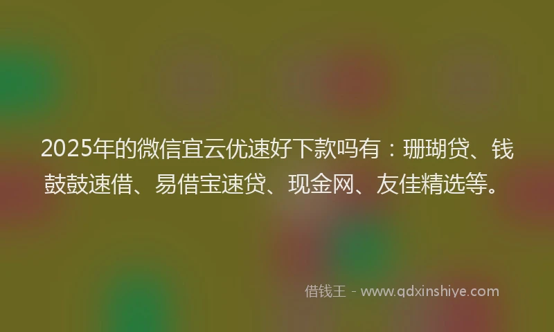 2025年的微信宜云优速好下款吗有：珊瑚贷、钱鼓鼓速借、易借宝速贷、现金网、友佳精选等。