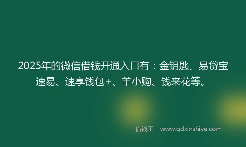 2025年的微信借钱开通入口有：金钥匙、易贷宝速易、速享钱包+、羊小购、钱来花等。