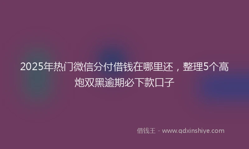 2025年热门微信分付借钱在哪里还，整理5个高炮双黑逾期必下款口子