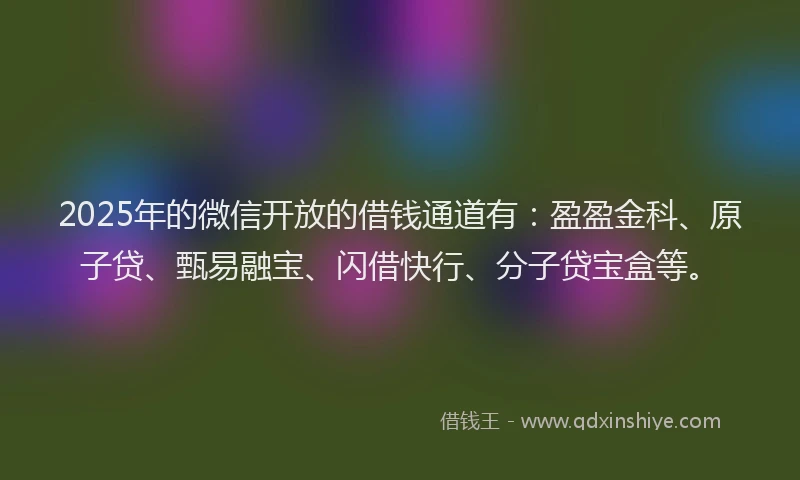 2025年的微信开放的借钱通道有：盈盈金科、原子贷、甄易融宝、闪借快行、分子贷宝盒等。