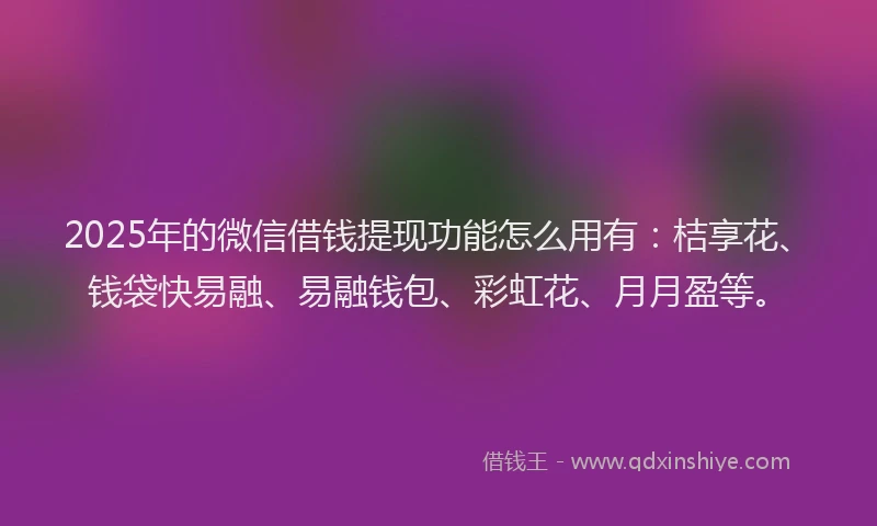 2025年的微信借钱提现功能怎么用有：桔享花、钱袋快易融、易融钱包、彩虹花、月月盈等。
