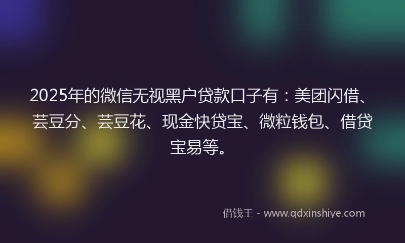 2025年的微信无视黑户贷款口子有：美团闪借、芸豆分、芸豆花、现金快贷宝、微粒钱包、借贷宝易等。