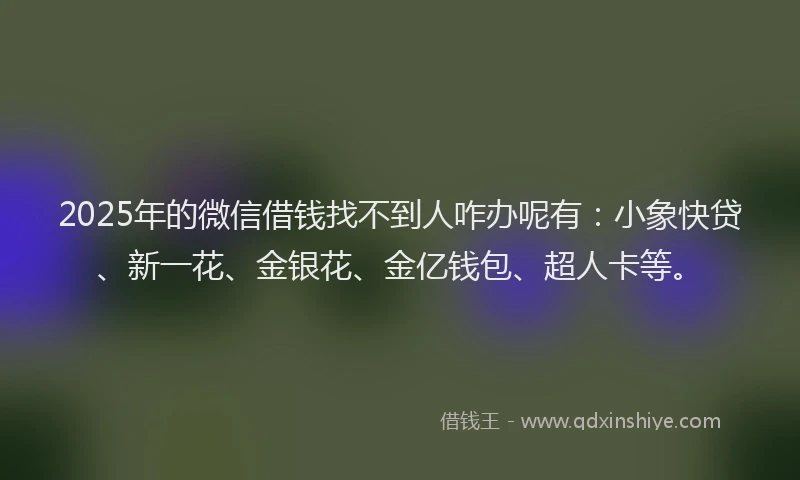 2025年的微信借钱找不到人咋办呢有：小象快贷、新一花、金银花、金亿钱包、超人卡等。