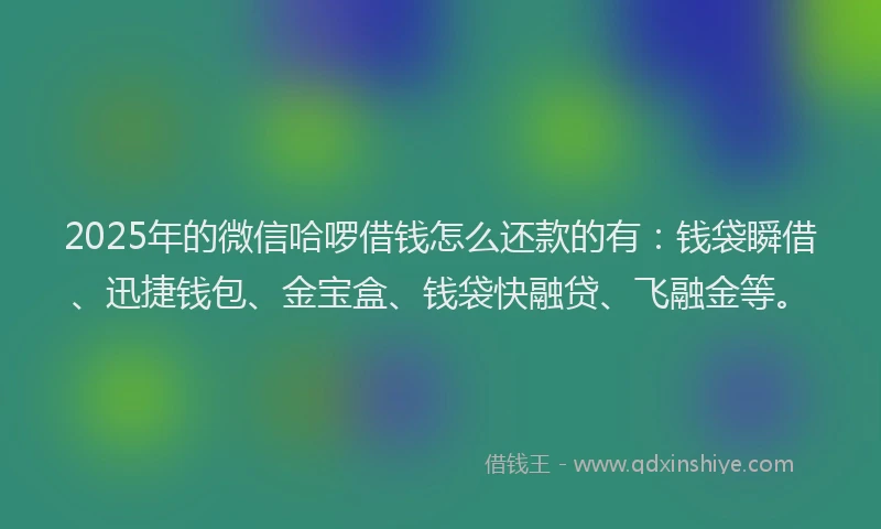 2025年的微信哈啰借钱怎么还款的有：钱袋瞬借、迅捷钱包、金宝盒、钱袋快融贷、飞融金等。