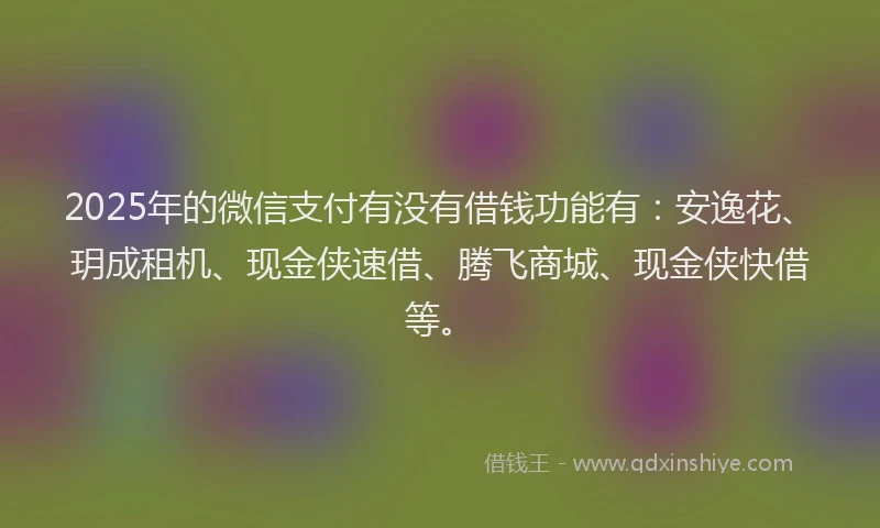 2025年的微信支付有没有借钱功能有：安逸花、玥成租机、现金侠速借、腾飞商城、现金侠快借等。