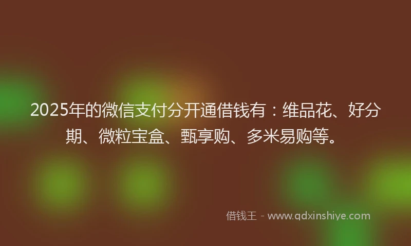 2025年的微信支付分开通借钱有：维品花、好分期、微粒宝盒、甄享购、多米易购等。