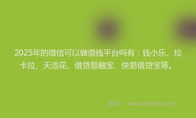 2025年的微信可以做借钱平台吗有：钱小乐、拉卡拉、天浩花、借贷易融宝、快易借贷宝等。