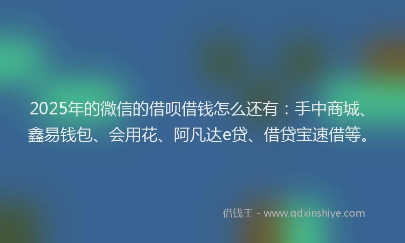 2025年的微信的借呗借钱怎么还有：手中商城、鑫易钱包、会用花、阿凡达e贷、借贷宝速借等。
