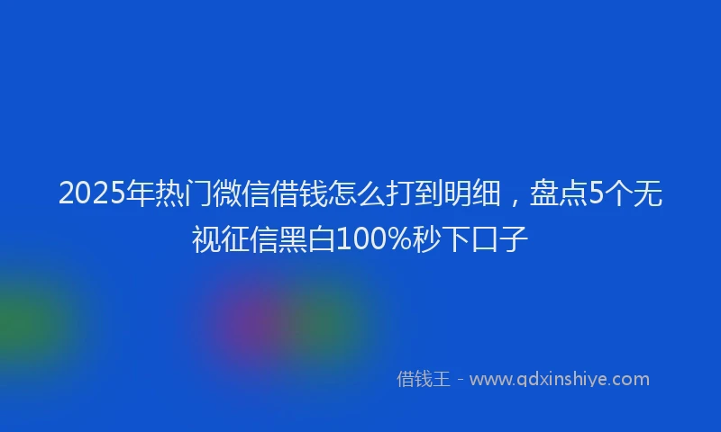 2025年热门微信借钱怎么打到明细，盘点5个无视征信黑白100%秒下口子