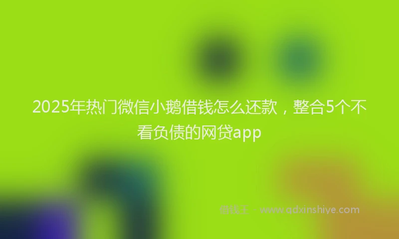 2025年热门微信小鹅借钱怎么还款，整合5个不看负债的网贷app