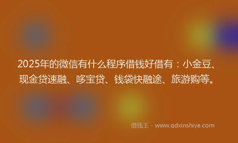 2025年的微信有什么程序借钱好借有：小金豆、现金贷速融、哆宝贷、钱袋快融途、旅游购等。