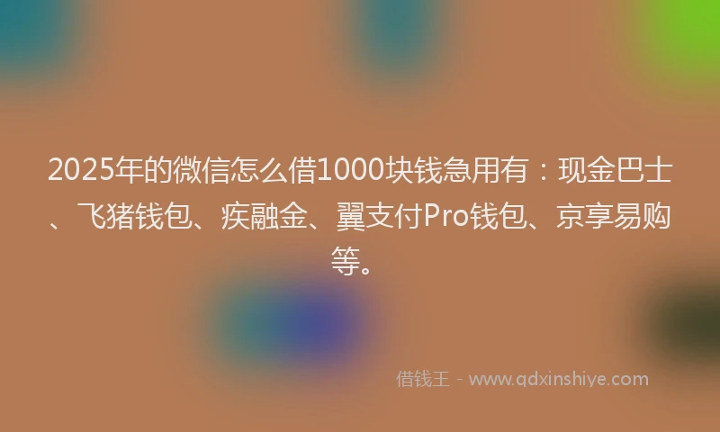 2025年的微信怎么借1000块钱急用有：现金巴士、飞猪钱包、疾融金、翼支付Pro钱包、京享易购等。