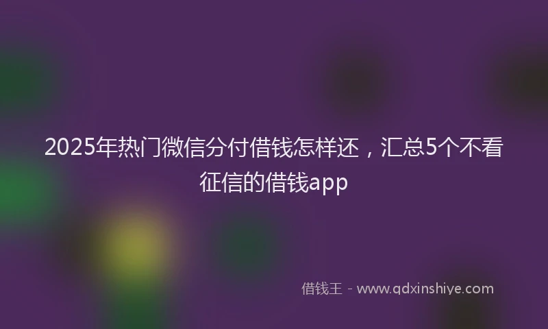 2025年热门微信分付借钱怎样还，汇总5个不看征信的借钱app