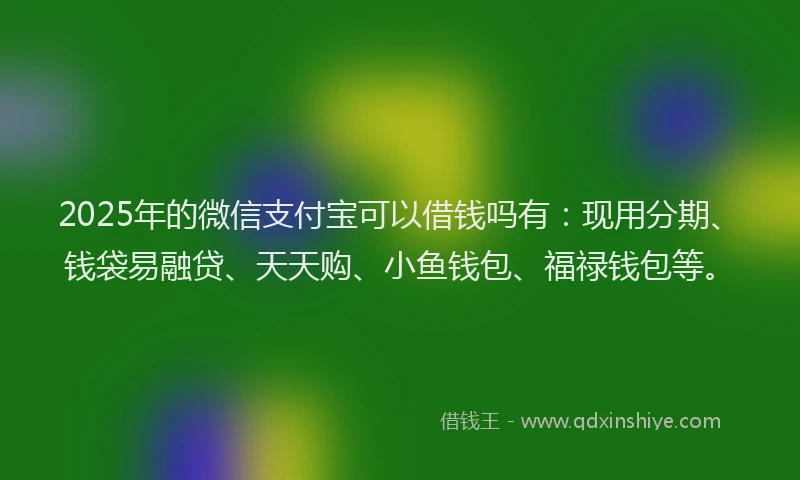 2025年的微信支付宝可以借钱吗有：现用分期、钱袋易融贷、天天购、小鱼钱包、福禄钱包等。