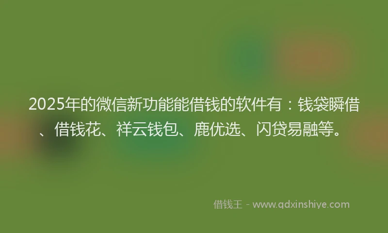 2025年的微信新功能能借钱的软件有：钱袋瞬借、借钱花、祥云钱包、鹿优选、闪贷易融等。