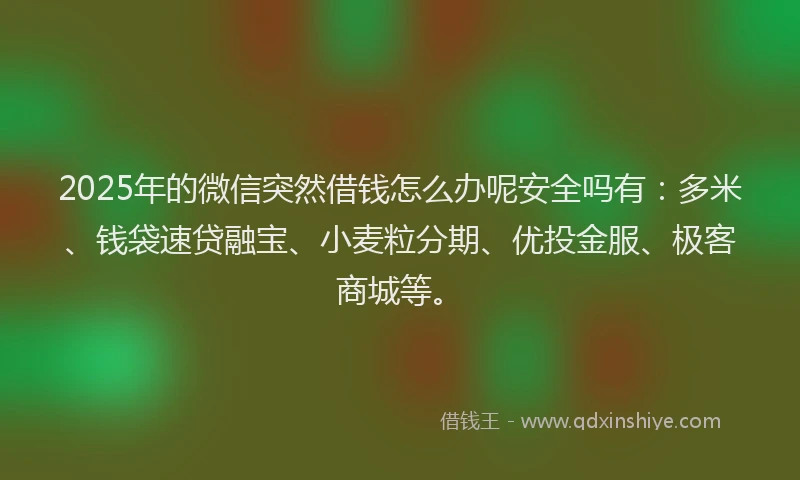 2025年的微信突然借钱怎么办呢安全吗有：多米、钱袋速贷融宝、小麦粒分期、优投金服、极客商城等。