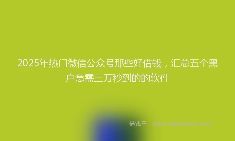 2025年热门微信公众号那些好借钱，汇总五个黑户急需三万秒到的的软件