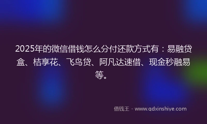 2025年的微信借钱怎么分付还款方式有：易融贷盒、桔享花、飞鸟贷、阿凡达速借、现金秒融易等。