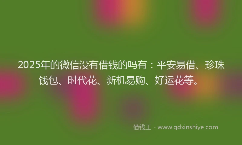 2025年的微信没有借钱的吗有：平安易借、珍珠钱包、时代花、新机易购、好运花等。
