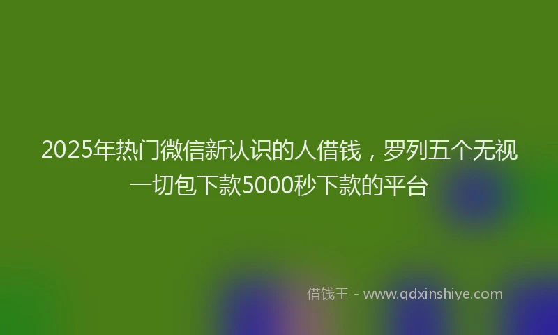 2025年热门微信新认识的人借钱，罗列五个无视一切包下款5000秒下款的平台