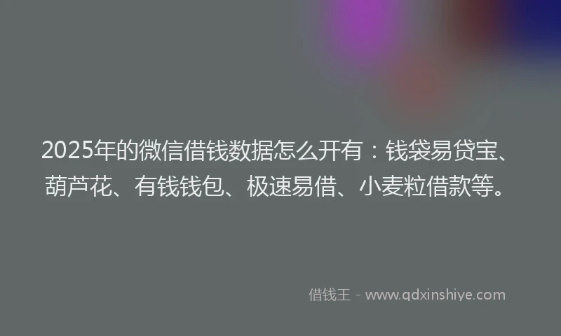 2025年的微信借钱数据怎么开有：钱袋易贷宝、葫芦花、有钱钱包、极速易借、小麦粒借款等。
