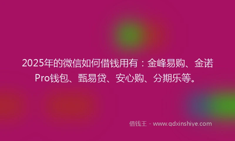 2025年的微信如何借钱用有：金峰易购、金诺Pro钱包、甄易贷、安心购、分期乐等。