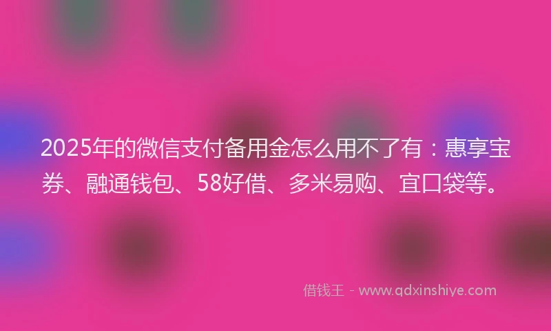 2025年的微信支付备用金怎么用不了有：惠享宝券、融通钱包、58好借、多米易购、宜口袋等。
