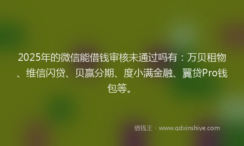 2025年的微信能借钱审核未通过吗有：万贝租物、维信闪贷、贝赢分期、度小满金融、翼贷Pro钱包等。