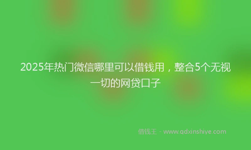 2025年热门微信哪里可以借钱用，整合5个无视一切的网贷口子