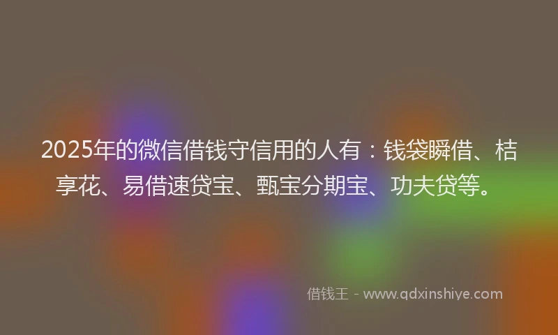 2025年的微信借钱守信用的人有：钱袋瞬借、桔享花、易借速贷宝、甄宝分期宝、功夫贷等。