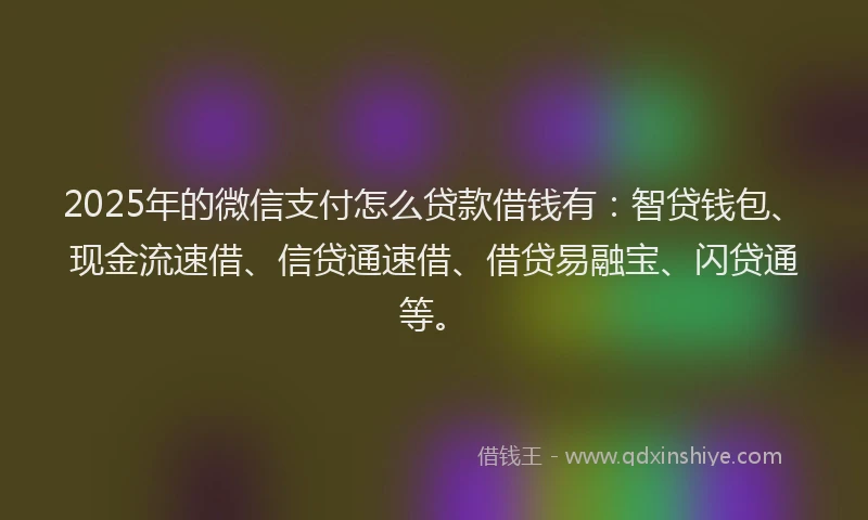 2025年的微信支付怎么贷款借钱有：智贷钱包、现金流速借、信贷通速借、借贷易融宝、闪贷通等。