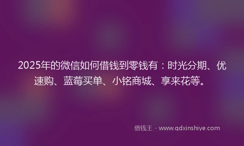 2025年的微信如何借钱到零钱有：时光分期、优速购、蓝莓买单、小铭商城、享来花等。