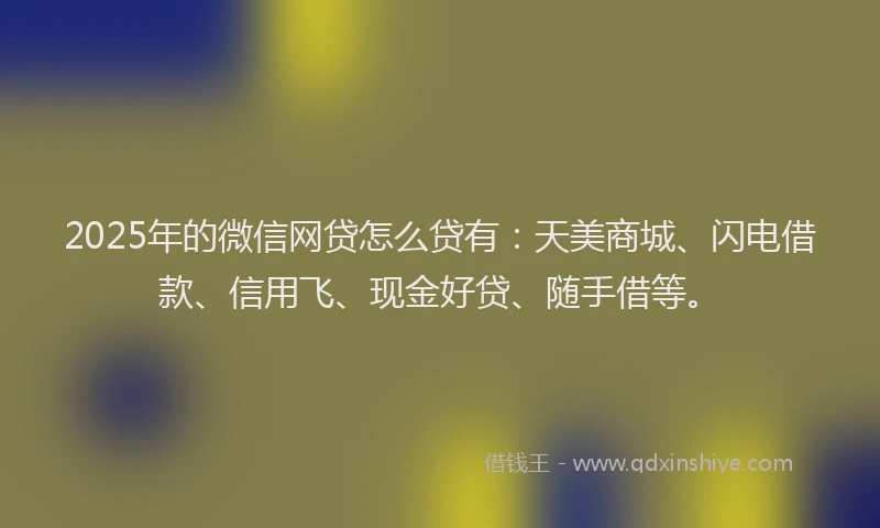 2025年的微信网贷怎么贷有：天美商城、闪电借款、信用飞、现金好贷、随手借等。