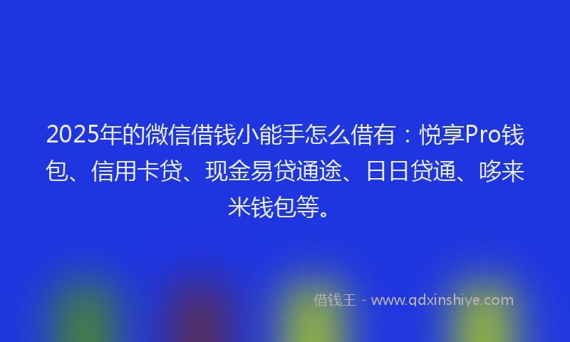 2025年的微信借钱小能手怎么借有：悦享Pro钱包、信用卡贷、现金易贷通途、日日贷通、哆来米钱包等。