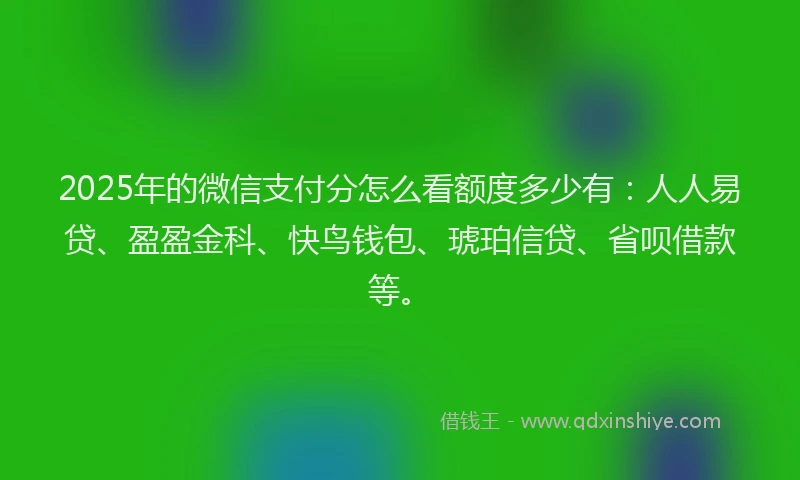 2025年的微信支付分怎么看额度多少有：人人易贷、盈盈金科、快鸟钱包、琥珀信贷、省呗借款等。