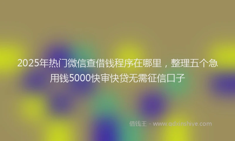 2025年热门微信查借钱程序在哪里，整理五个急用钱5000快审快贷无需征信口子