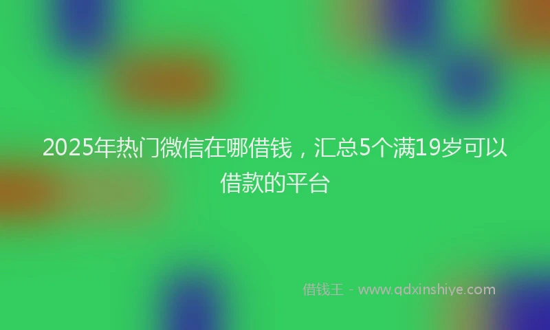 2025年热门微信在哪借钱，汇总5个满19岁可以借款的平台