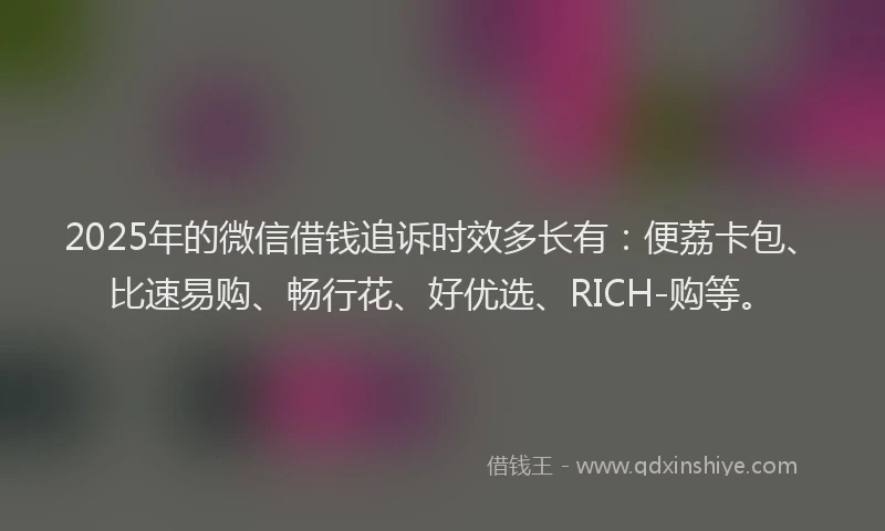 2025年的微信借钱追诉时效多长有：便荔卡包、比速易购、畅行花、好优选、RICH-购等。
