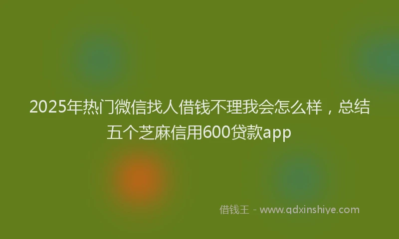 2025年热门微信找人借钱不理我会怎么样，总结五个芝麻信用600贷款app