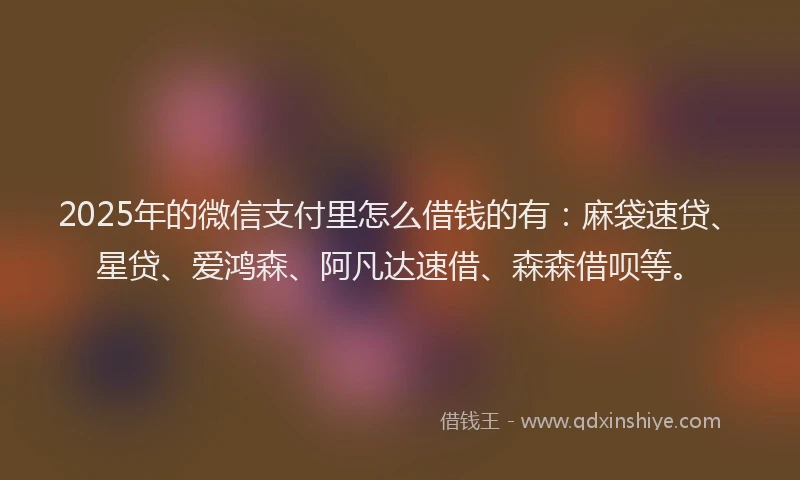 2025年的微信支付里怎么借钱的有：麻袋速贷、星贷、爱鸿森、阿凡达速借、森森借呗等。