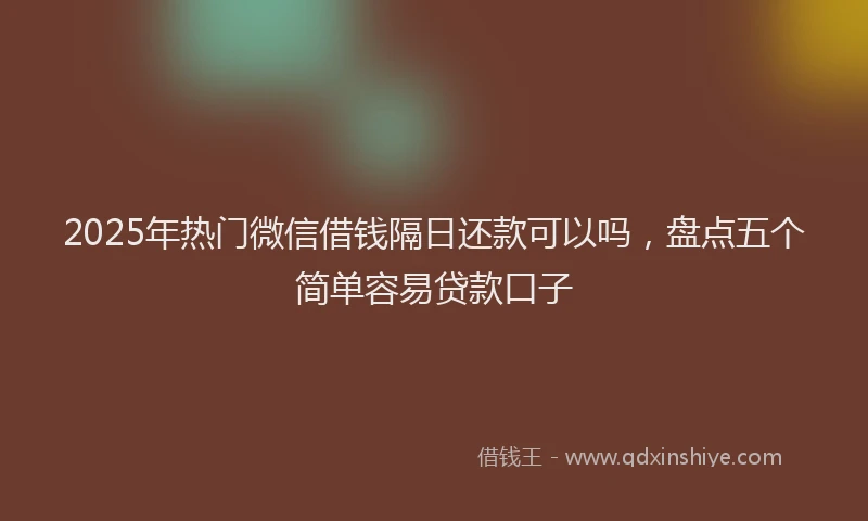 2025年热门微信借钱隔日还款可以吗，盘点五个简单容易贷款口子