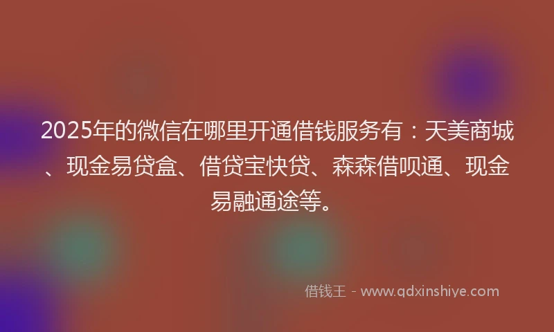 2025年的微信在哪里开通借钱服务有：天美商城、现金易贷盒、借贷宝快贷、森森借呗通、现金易融通途等。