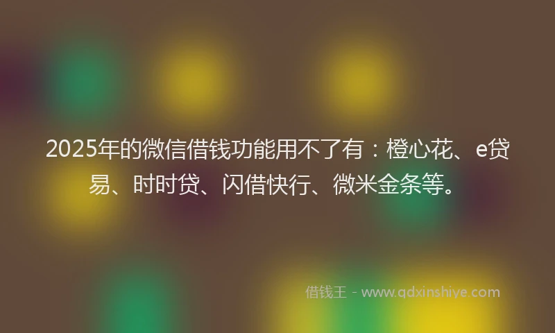 2025年的微信借钱功能用不了有：橙心花、e贷易、时时贷、闪借快行、微米金条等。